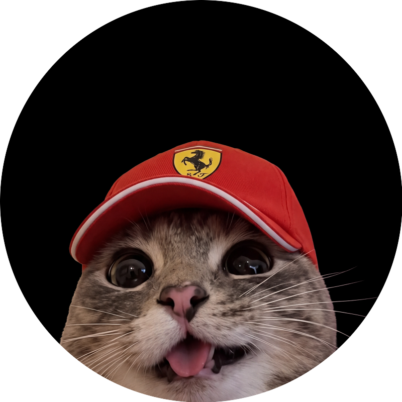 Funny Cat Ferrari Hat PFP