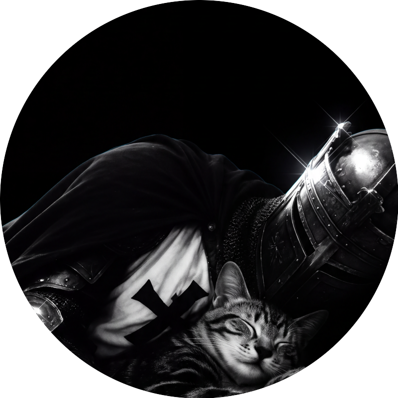 Knight and Sleeping Cat PFP