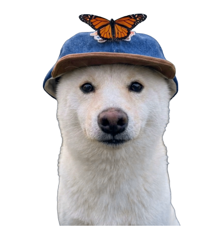 White Dog