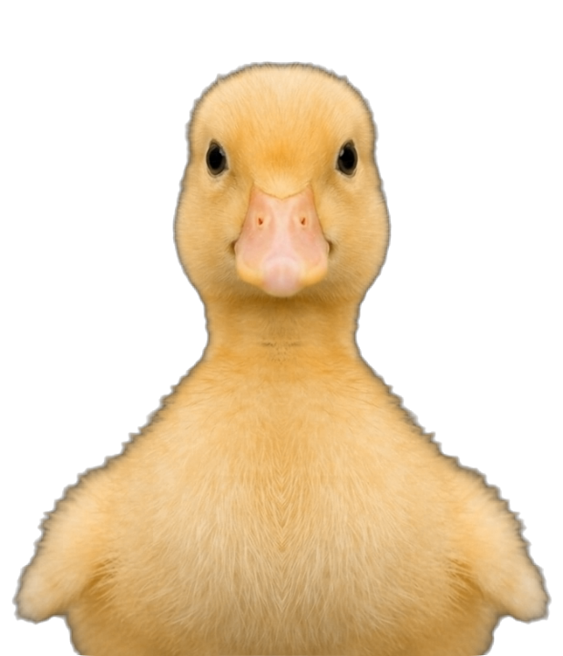 Baby Duck