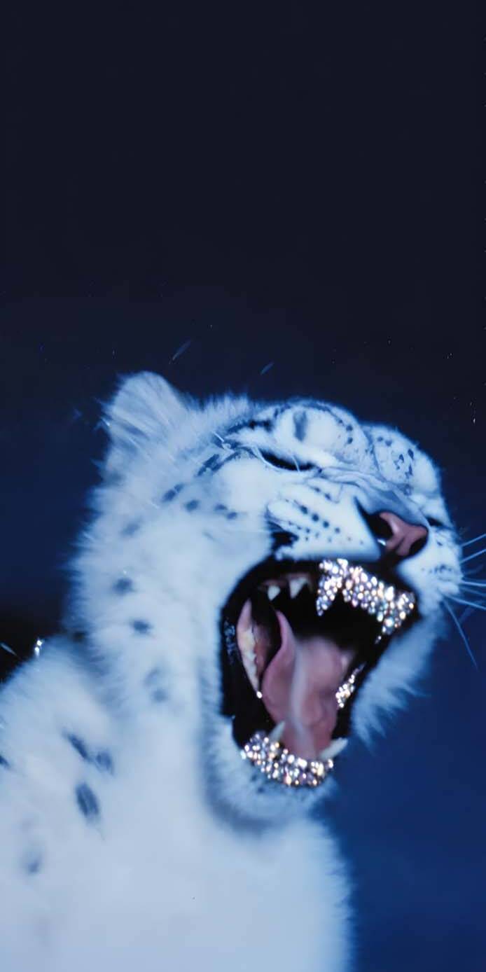 Download this fierce snow leopard wallpaper in stunning 4K resolution for your iPhone! This unique wallpaper features a roaring snow leopard with sparkling diamond-like teeth, set against a dark blue backdrop. | animal cat snow leopard 4k iphone nature hd leopard dynamic cool mobile live wallpaper aggressive lock screen 4k wallpaper hd wallpaper wildlife big cat animal wallpaper diamond teeth blue glow white fur roaring Neon Teeth wild cat savage icy background Download this fierce snow leopard wallpaper in stunning 4K resolution for your iPhone! This unique wallpaper features a roaring snow leopard with sparkling diamond-like teeth, set against a dark blue backdrop.
