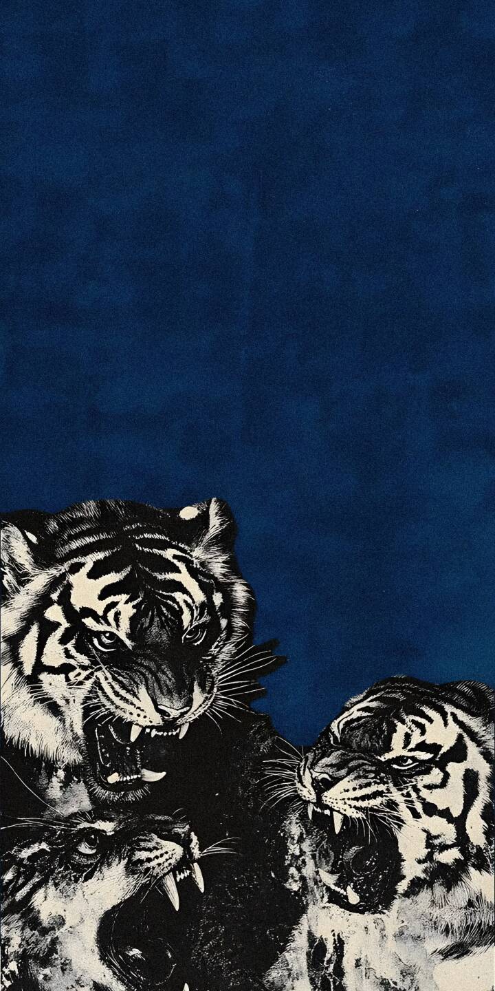 Roaring Tiger 4K wallpaper for your iPhone. This stunning wallpaper features a trio of snarling tigers with exposed fangs and sharp claws against a deep blue background. | animal iphone tigers nature tiger animals stripes predator mobile live wallpaper fangs lock screen white tiger 4k wallpaper hd wallpaper wildlife blue background iphone background roaring tiger fierce aesthetic wallpaper home screen feline phone theme cartoon aesthetic high resolution cool background digital illustration smartphone background trendy wallpaper mobile art hd mobile Animal Power jungle king big cats wild animals snow tiger wildlife photography majestic Roaring Tiger 4K wallpaper for your iPhone. This stunning wallpaper features a trio of snarling tigers with exposed fangs and sharp claws against a deep blue background.