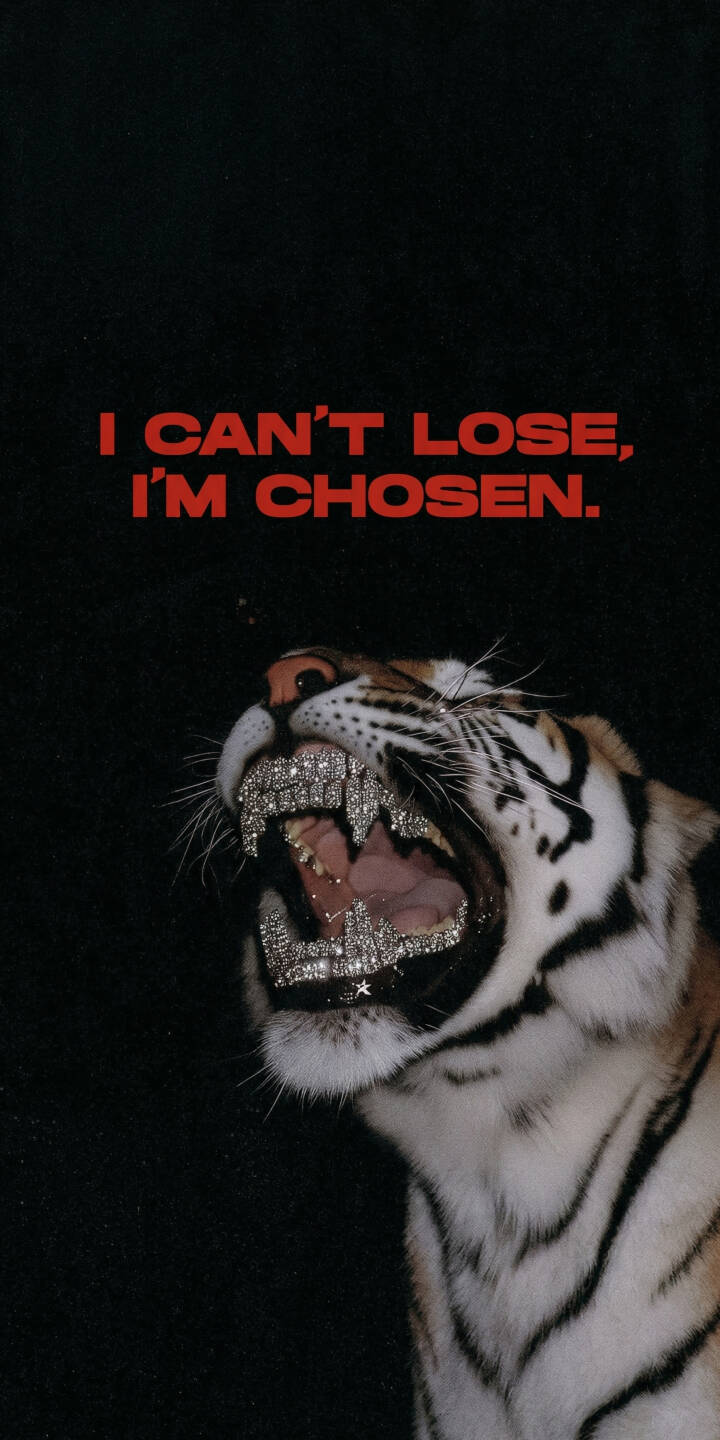 Elevate your iPhone with this stunning 4K tiger grills wallpaper, featuring a majestic tiger roaring with sparkling diamond grills and the powerful red text 'I CAN'T LOSE, I'M CHOSEN.' This unique wallpaper provides a daily dose of motivation and fierce style. | animal quote motivational grills iphone tiger mobile 4k wallpaper hd wallpaper diamond teeth i can't lose i'm chosen Elevate your iPhone with this stunning 4K tiger grills wallpaper, featuring a majestic tiger roaring with sparkling diamond grills and the powerful red text 'I CAN'T LOSE, I'M CHOSEN.' This unique wallpaper provides a daily dose of motivation and fierce style.