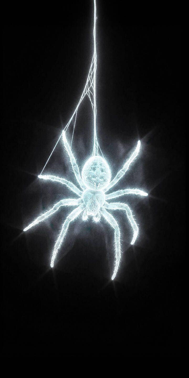 Discover this captivating 4K glowing spider wallpaper, featuring an ethereal, light blue arachnid suspended by its delicate, intricate web against a stark black background. This stunning wallpaper is perfect for your iPhone, bringing a unique, mysterious glow to your mobile device. | aesthetic dark spider web iphone black background mobile 4k wallpaper hd wallpaper glowing spider neon spider Discover this captivating 4K glowing spider wallpaper, featuring an ethereal, light blue arachnid suspended by its delicate, intricate web against a stark black background. This stunning wallpaper is perfect for your iPhone, bringing a unique, mysterious glow to your mobile device.