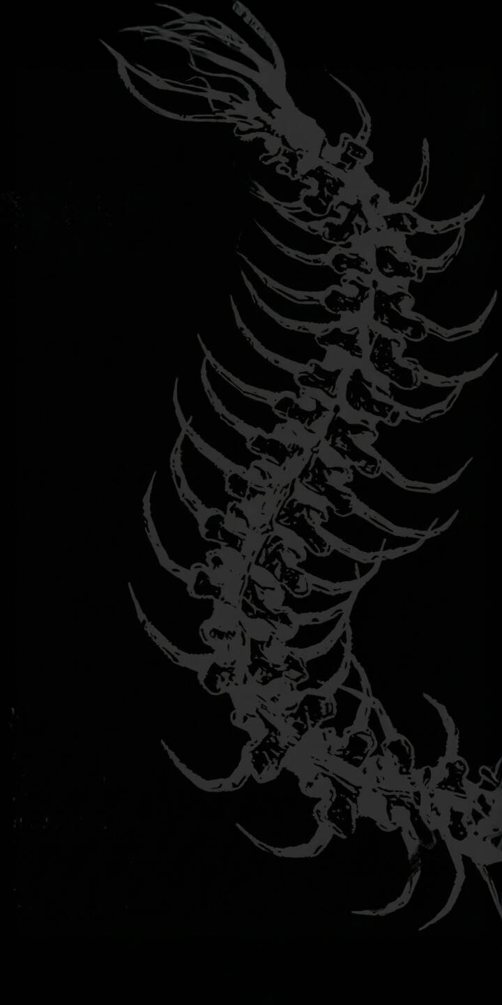 Enhance your iPhone with this stunning Dark Spine 4K wallpaper, featuring an intricate, skeletal design on a deep black background. This unique dark art wallpaper showcases minimalist rib-like structures and a subtly curved spine, perfect for adding a mysterious touch to your mobile screen. | gothic creepy iphone minimalist mobile 4k wallpaper hd wallpaper black wallpaper bone art skeleton art dark spine abstract bone Enhance your iPhone with this stunning Dark Spine 4K wallpaper, featuring an intricate, skeletal design on a deep black background. This unique dark art wallpaper showcases minimalist rib-like structures and a subtly curved spine, perfect for adding a mysterious touch to your mobile screen.