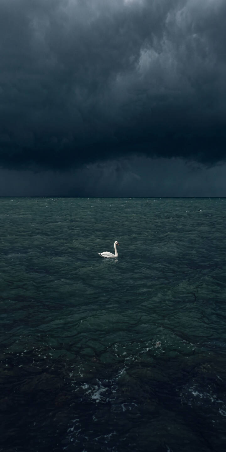Deep, dark storm clouds loom overhead while a lone white swan glides peacefully across the choppy teal waters in this dramatic 4K wallpaper - an atmospheric wallpaper perfect for iPhone. | aesthetic dark stormy iphone nature ocean clouds wallpaper mobile swan 4k wallpaper hd wallpaper Deep, dark storm clouds loom overhead while a lone white swan glides peacefully across the choppy teal waters in this dramatic 4K wallpaper - an atmospheric wallpaper perfect for iPhone.