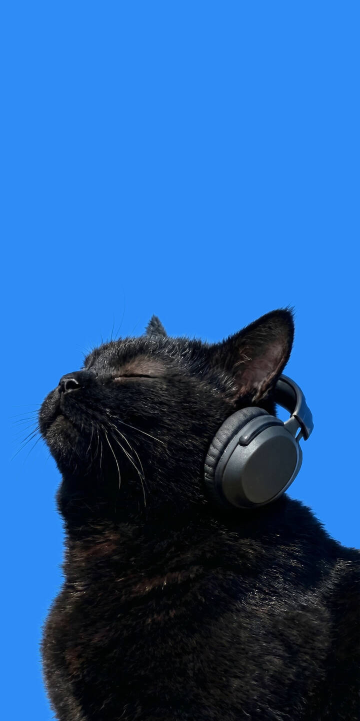 The black cat closes its eyes, enjoying music with stylish headphones against a bright blue sky background in this serene 4K wallpaper. This charming animal wallpaper is perfect for iPhone users seeking a peaceful vibe. | music cat iphone wallpaper chill black cat mobile headphones 4k wallpaper hd wallpaper blue background feline The black cat closes its eyes, enjoying music with stylish headphones against a bright blue sky background in this serene 4K wallpaper. This charming animal wallpaper is perfect for iPhone users seeking a peaceful vibe.