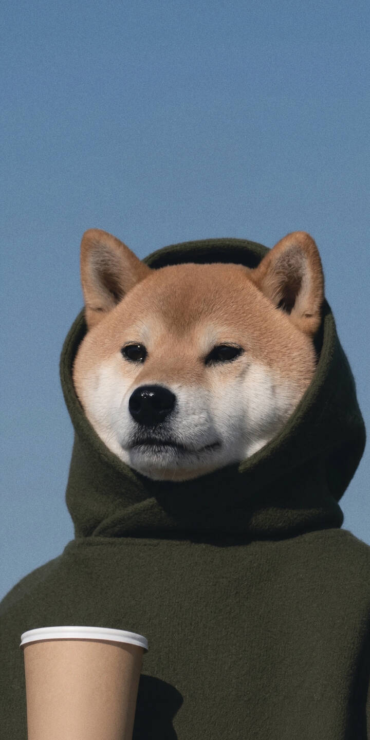 The adorable Shiba Inu, snug in its dark green hoodie, holds a coffee cup against a vibrant blue sky in this charming 4K wallpaper — a perfect wallpaper for iPhone users. | aesthetic dog hoodie shiba inu cute iphone wallpaper coffee mobile 4k wallpaper hd wallpaper shiba The adorable Shiba Inu, snug in its dark green hoodie, holds a coffee cup against a vibrant blue sky in this charming 4K wallpaper — a perfect wallpaper for iPhone users.