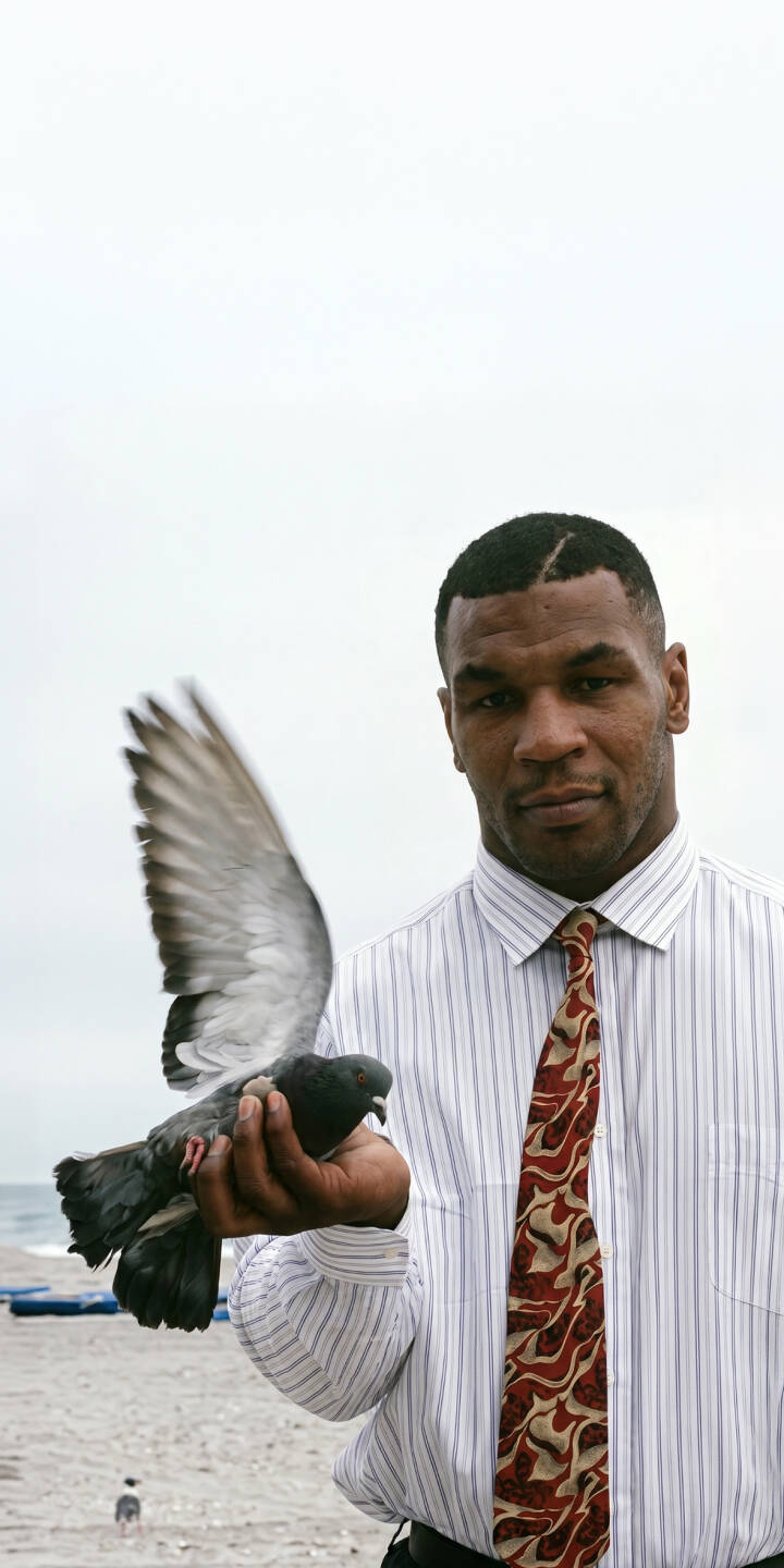 The unexpected sight of Mike Tyson gently holding a flapping pigeon against an overcast outdoor backdrop makes for a striking 4K wallpaper. This memorable wallpaper for iPhone highlights the legendary boxer's tender side while he wears a striped shirt and patterned tie. | boxer iphone wallpaper pigeon mobile mike tyson celebrity 4k wallpaper hd wallpaper outdoor iron mike iconic The unexpected sight of Mike Tyson gently holding a flapping pigeon against an overcast outdoor backdrop makes for a striking 4K wallpaper. This memorable wallpaper for iPhone highlights the legendary boxer's tender side while he wears a striped shirt and patterned tie.