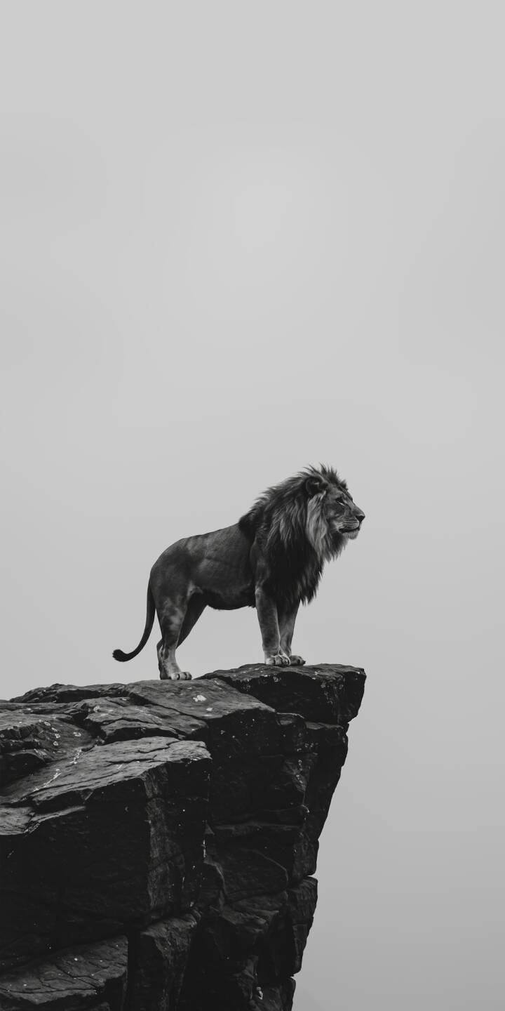 A majestic lion, with its magnificent mane, surveys its domain from a dark, rugged cliff edge in this powerful 4K wallpaper. This stunning grayscale wallpaper offers a dramatic backdrop for your iPhone. | animal cliff iphone wallpaper lion grayscale mobile 4k wallpaper hd wallpaper wildlife big cat majestic A majestic lion, with its magnificent mane, surveys its domain from a dark, rugged cliff edge in this powerful 4K wallpaper. This stunning grayscale wallpaper offers a dramatic backdrop for your iPhone.