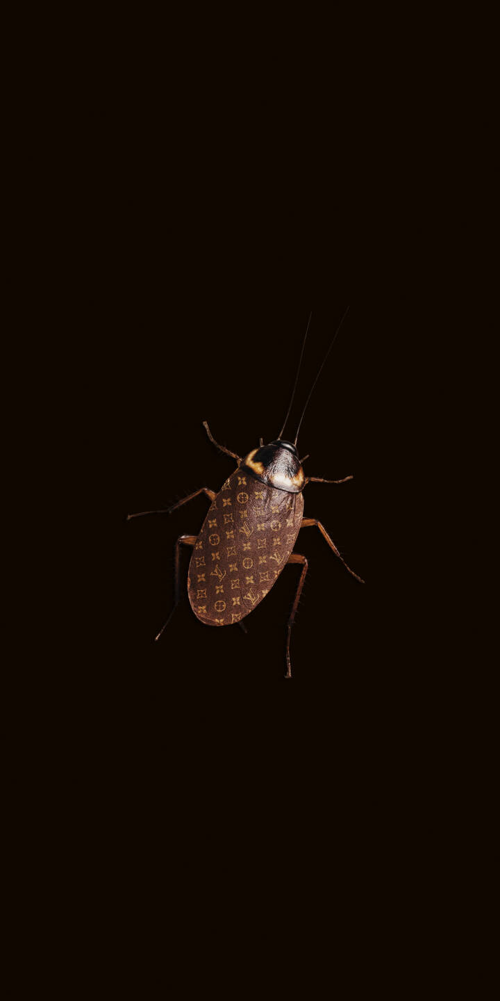 The distinct Louis Vuitton monogram pattern covers the sleek exoskeleton of this detailed cockroach against a dark background, creating a truly unique 4K wallpaper for your iPhone. This unusual design makes for an intriguing mobile wallpaper. | aesthetic dark iphone luxury wallpaper louis vuitton mobile cockroach 4k wallpaper hd wallpaper insect monogram The distinct Louis Vuitton monogram pattern covers the sleek exoskeleton of this detailed cockroach against a dark background, creating a truly unique 4K wallpaper for your iPhone. This unusual design makes for an intriguing mobile wallpaper.