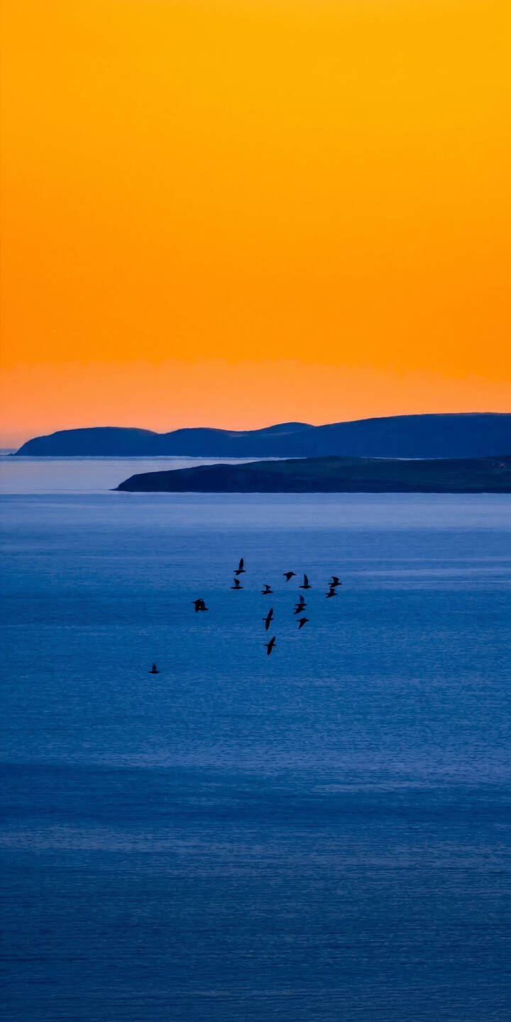 The vibrant orange glow of the sky illuminates the deep blue ocean where a flock of silhouetted birds soar freely, creating a captivating 4K wallpaper perfect for your iPhone. This serene seascape wallpaper offers a peaceful escape for your screen. | landscape sunset iphone nature ocean birds wallpaper vibrant mobile 4k wallpaper hd wallpaper serene The vibrant orange glow of the sky illuminates the deep blue ocean where a flock of silhouetted birds soar freely, creating a captivating 4K wallpaper perfect for your iPhone. This serene seascape wallpaper offers a peaceful escape for your screen.