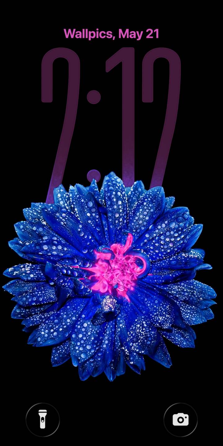 Thousands of sparkling water droplets adorn the vibrant blue petals of this exquisite flower, beautifully contrasted by its glowing pink center. This captivating 4K wallpaper offers a dark yet vivid aesthetic, making it an ideal wallpaper for your iPhone. | aesthetic flower iphone nature wallpaper mobile macro blue flower 4k wallpaper hd wallpaper water droplets glowing flower Thousands of sparkling water droplets adorn the vibrant blue petals of this exquisite flower, beautifully contrasted by its glowing pink center. This captivating 4K wallpaper offers a dark yet vivid aesthetic, making it an ideal wallpaper for your iPhone.