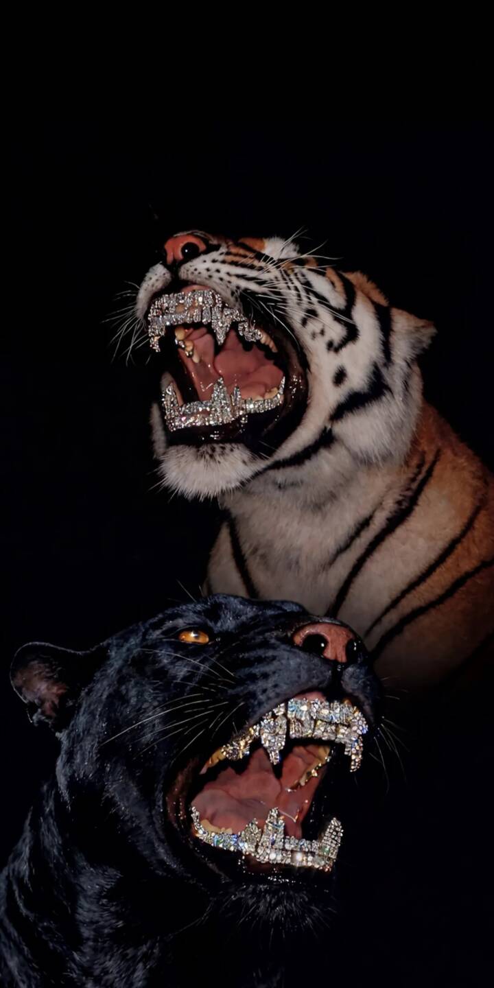 Sparkling diamond grilles gleam brightly in the open mouths of a ferocious tiger and a sleek black panther, creating a luxurious and wild aesthetic in this captivating 4K wallpaper. This stunning animal wallpaper for iPhone perfectly merges untamed power with urban extravagance. | dark grills iphone tiger wallpaper black panther mobile 4k wallpaper hd wallpaper diamond teeth big cats iced out Sparkling diamond grilles gleam brightly in the open mouths of a ferocious tiger and a sleek black panther, creating a luxurious and wild aesthetic in this captivating 4K wallpaper. This stunning animal wallpaper for iPhone perfectly merges untamed power with urban extravagance.