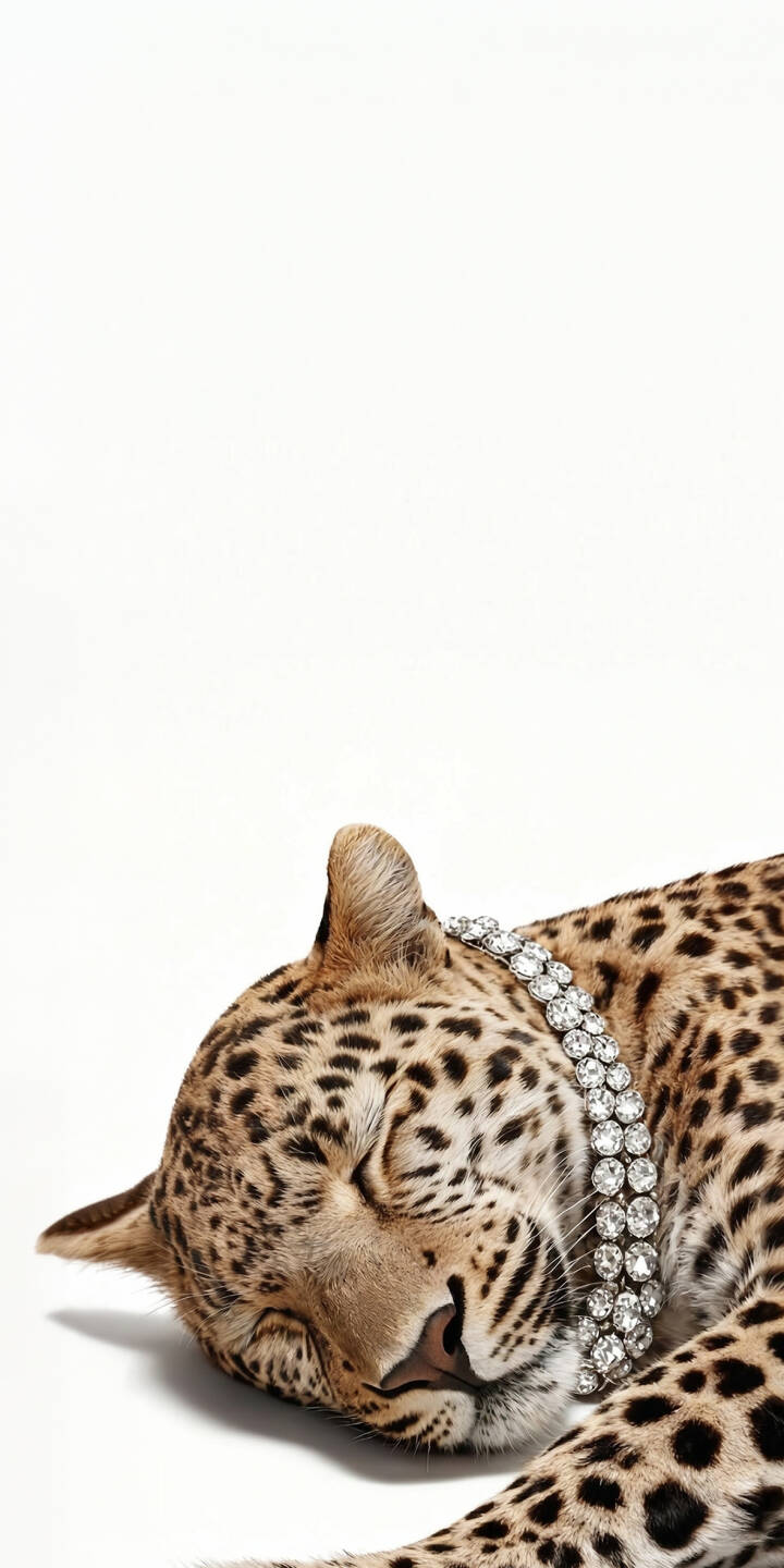 A resplendent diamond collar gleams around a peaceful, sleeping leopard in this elegant 4K wallpaper, set against a pristine white background. This exquisite wallpaper is perfect for any iPhone to add a touch of luxurious nature. | animal diamond iphone luxury leopard wallpaper mobile elegant 4k wallpaper hd wallpaper wildlife big cat A resplendent diamond collar gleams around a peaceful, sleeping leopard in this elegant 4K wallpaper, set against a pristine white background. This exquisite wallpaper is perfect for any iPhone to add a touch of luxurious nature.
