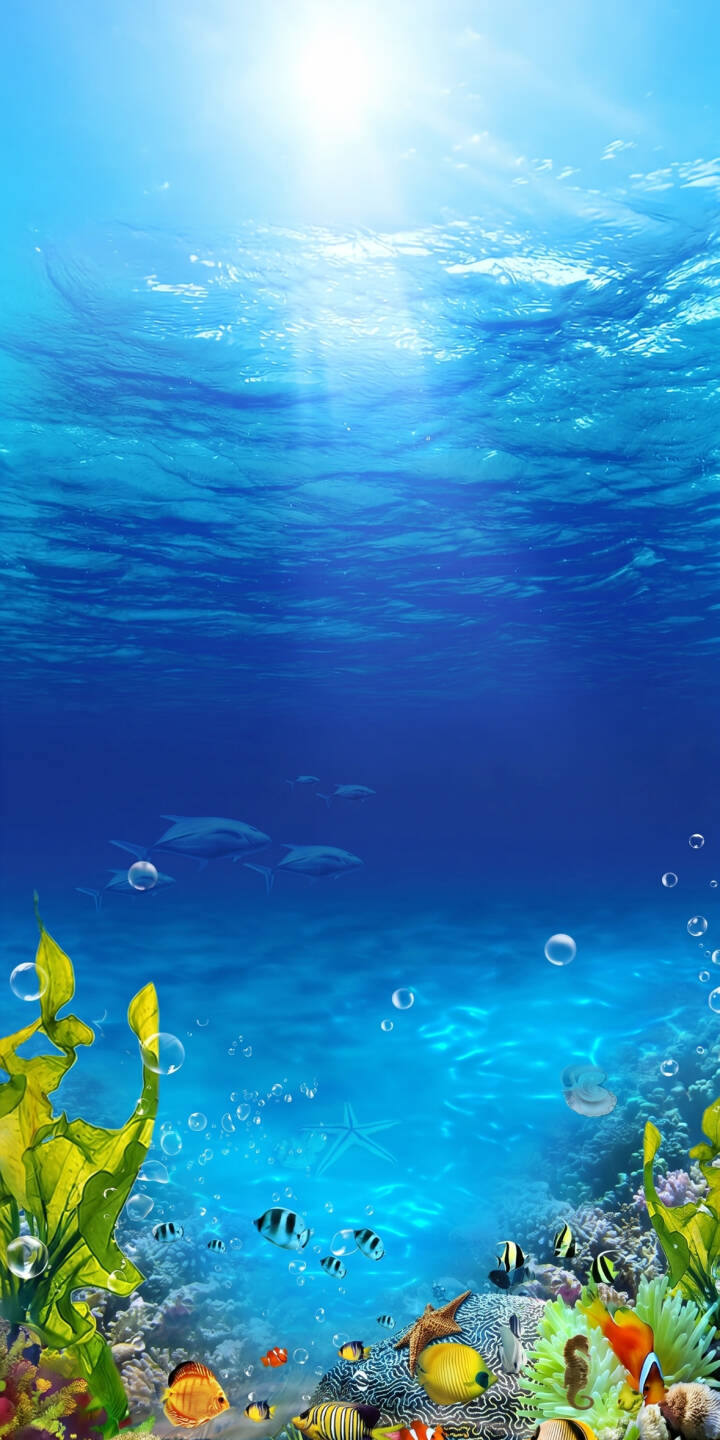 Bright sun rays illuminate the deep blue ocean, casting shimmering light on a lively coral reef teeming with colorful tropical fish in this stunning Frutiger Aero 4K wallpaper — a perfect wallpaper for your iPhone. | blue underwater coral reef iphone ocean wallpaper futuristic mobile sunlight frutiger aero 4k wallpaper hd wallpaper marine life tropical fish windowsxp Bright sun rays illuminate the deep blue ocean, casting shimmering light on a lively coral reef teeming with colorful tropical fish in this stunning Frutiger Aero 4K wallpaper — a perfect wallpaper for your iPhone.