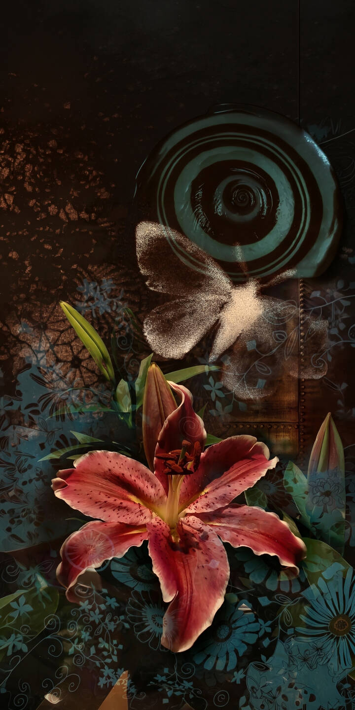 A rich crimson lily unfurls its speckled petals in this moody 4K abstract floral wallpaper, where a ghostly white butterfly hovers above a dark teal swirl amidst an intricate patterned background — an enchanting wallpaper for iPhone fans. | lily iphone nature abstract wallpaper mobile butterfly floral 4k wallpaper hd wallpaper dark aesthetic mystic art A rich crimson lily unfurls its speckled petals in this moody 4K abstract floral wallpaper, where a ghostly white butterfly hovers above a dark teal swirl amidst an intricate patterned background — an enchanting wallpaper for iPhone fans.