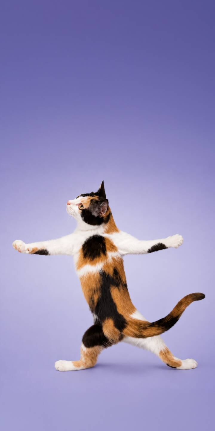 Gracefully extending its paws, a charming calico cat strikes a perfect warrior yoga pose against a serene lavender background in this delightful 4K wallpaper, a must-have wallpaper for your iPhone. | pose alphabet cat cute yoga Gracefully extending its paws, a charming calico cat strikes a perfect warrior yoga pose against a serene lavender background in this delightful 4K wallpaper, a must-have wallpaper for your iPhone.