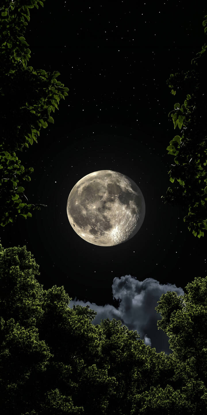 The immense, crater-rich full moon dominates a dark, star-speckled night sky, framed by lush green tree leaves in this stunning 4K wallpaper for iPhone. This breathtaking lunar wallpaper perfectly captures the serene beauty of a clear night. | aesthetic forest moon night sky iphone nature stars wallpaper mobile full moon 4k wallpaper hd wallpaper The immense, crater-rich full moon dominates a dark, star-speckled night sky, framed by lush green tree leaves in this stunning 4K wallpaper for iPhone. This breathtaking lunar wallpaper perfectly captures the serene beauty of a clear night.