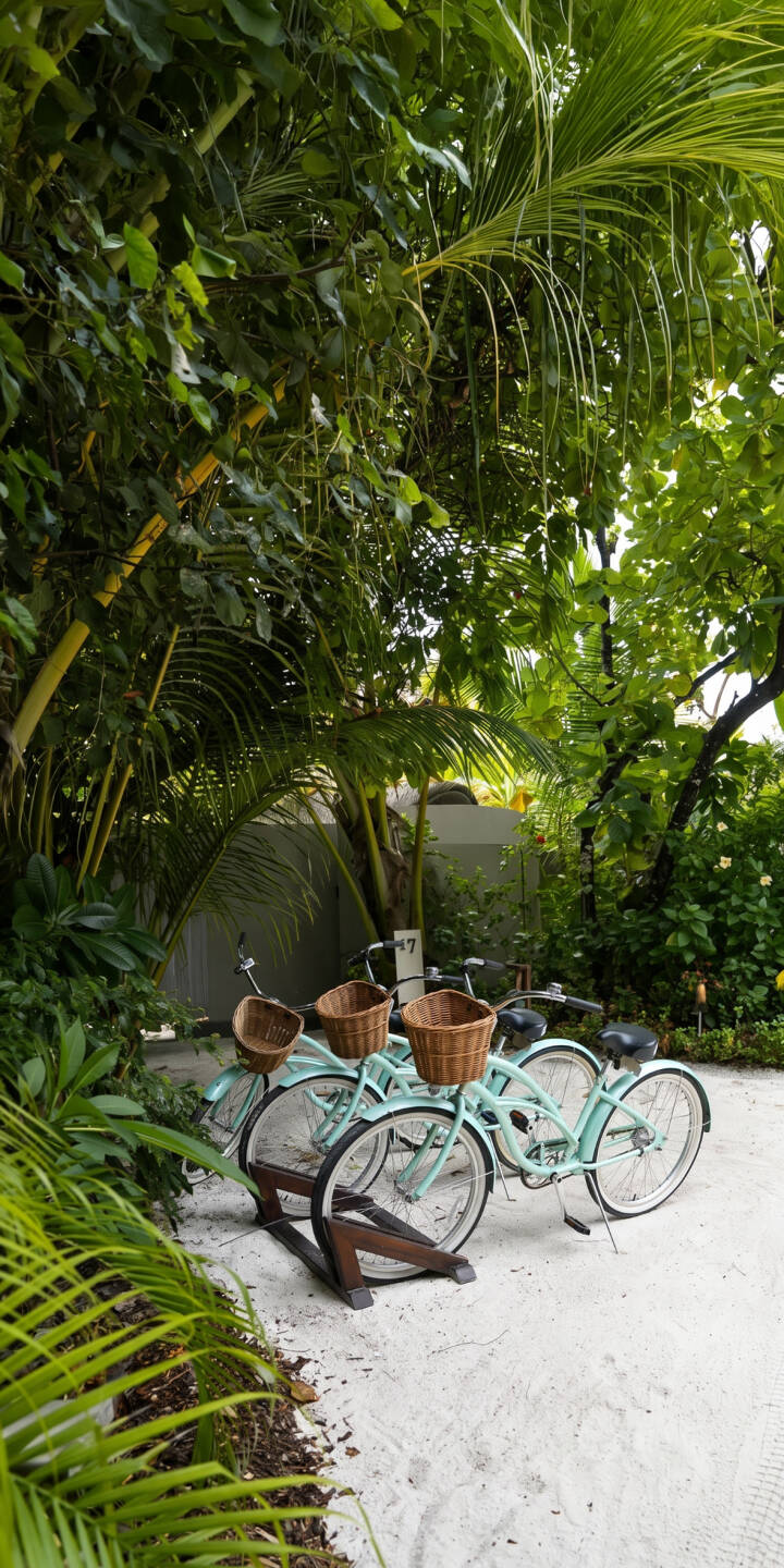 Lush tropical greenery casts a serene shadow over two charming mint-colored bicycles, each adorned with a woven front basket, resting peacefully on a bright, sandy path in this captivating 4K wallpaper. This idyllic scene serves as a refreshing iPhone wallpaper, inviting a sense of calm and escape. | aesthetic greenery bicycle iphone nature bikes wallpaper tropical mobile 4k wallpaper hd wallpaper serene Lush tropical greenery casts a serene shadow over two charming mint-colored bicycles, each adorned with a woven front basket, resting peacefully on a bright, sandy path in this captivating 4K wallpaper. This idyllic scene serves as a refreshing iPhone wallpaper, inviting a sense of calm and escape.