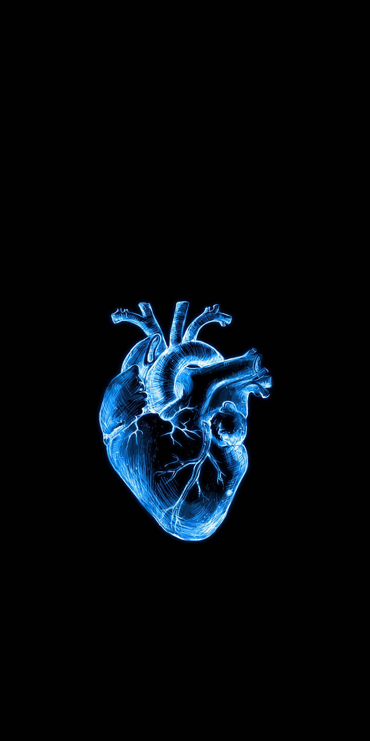 A striking, intricately detailed anatomical heart glows with a luminous blue outline against a minimalist black background in this vivid 4K wallpaper. This captivating glow heart wallpaper is perfect for personalizing your iPhone. | aesthetic dark neon heart iphone minimalist wallpaper mobile 4k wallpaper hd wallpaper blue glow anatomical heart A striking, intricately detailed anatomical heart glows with a luminous blue outline against a minimalist black background in this vivid 4K wallpaper. This captivating glow heart wallpaper is perfect for personalizing your iPhone.