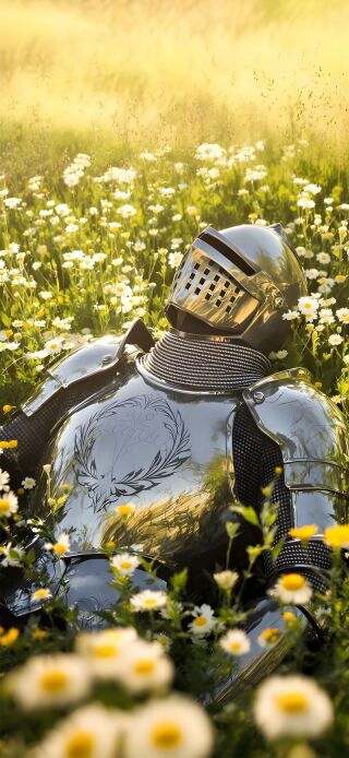 The gleaming knight armor rests peacefully amidst a vibrant field of white daisies, bathed in golden sunlight, forming a stunning 4K iPhone lock screen wallpaper. This beautiful wallpaper seamlessly transitions to a darker home screen, completing a unique double wallpaper experience for your iPhone.