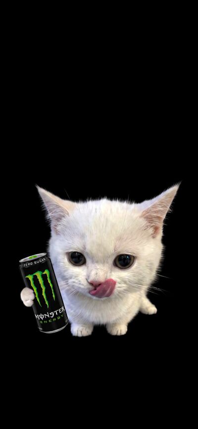 A adorable grey and white kitten is captured licking its lips, holding a white Monster Zero Ultra can in this vibrant 4K wallpaper. This charming matching wallpaper is perfect for four friends to display on their iPhone screens, featuring a cute cat on a stark black background.
