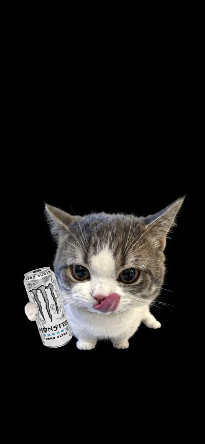 A adorable grey and white kitten is captured licking its lips, holding a white Monster Zero Ultra can in this vibrant 4K wallpaper. This charming matching wallpaper is perfect for four friends to display on their iPhone screens, featuring a cute cat on a stark black background.