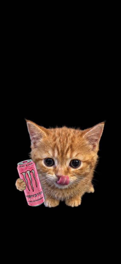 A adorable grey and white kitten is captured licking its lips, holding a white Monster Zero Ultra can in this vibrant 4K wallpaper. This charming matching wallpaper is perfect for four friends to display on their iPhone screens, featuring a cute cat on a stark black background.