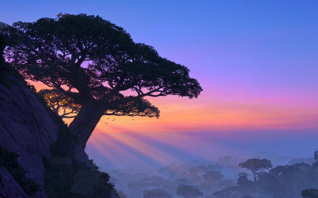 Vibrant hues paint the sky as a colossal cliffside tree stands silhouetted against a stunning gradient of purple and orange. This captivating 4K MacOS wallpaper perfectly showcases a serene misty forest valley, making it an ideal wallpaper for your MacBook. | landscape sunset nature wallpaper macos 4k wallpaper hd wallpaper misty serene macbook imac cliffside tree Vibrant hues paint the sky as a colossal cliffside tree stands silhouetted against a stunning gradient of purple and orange. This captivating 4K MacOS wallpaper perfectly showcases a serene misty forest valley, making it an ideal wallpaper for your MacBook.