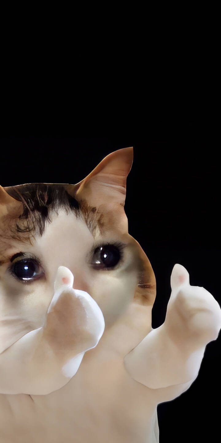 The beloved Sad Crying Cat meme gives two emphatic thumbs up, its wide, glistening eyes adding to its iconic expression in this delightful 4K wallpaper for iPhone. This unique and funny wallpaper perfectly captures the internet's favorite expressive feline. | funny cute iphone wallpaper black background thumbs up mobile 4k wallpaper hd wallpaper meme cat sad cat crying cat The beloved Sad Crying Cat meme gives two emphatic thumbs up, its wide, glistening eyes adding to its iconic expression in this delightful 4K wallpaper for iPhone. This unique and funny wallpaper perfectly captures the internet's favorite expressive feline.