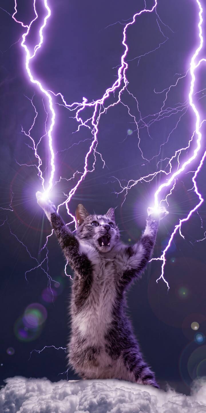 Vibrant purple lightning bolts burst from this majestic cat's paws as it stands roaring on a bed of clouds against a stormy dark sky, creating an epic 4K wallpaper. This powerful and comical cat wallpaper is a must-have for iPhone users who love unique and striking art. | meme lightning purple cat iphone kitty fantasy wallpaper mobile 4k wallpaper hd wallpaper epic Vibrant purple lightning bolts burst from this majestic cat's paws as it stands roaring on a bed of clouds against a stormy dark sky, creating an epic 4K wallpaper. This powerful and comical cat wallpaper is a must-have for iPhone users who love unique and striking art.
