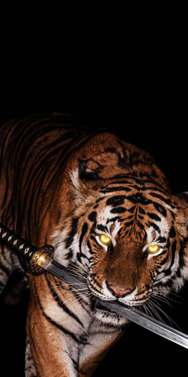Intensely glowing yellow eyes pierce the darkness as a majestic tiger holds a gleaming samurai katana in its mouth, making for a striking 4K wallpaper. This powerful and unique animal wallpaper is a must-have for any iPhone. | animal dark iphone tiger katana wallpaper mobile 4k wallpaper hd wallpaper wildlife glowing eyes samurai tiger Intensely glowing yellow eyes pierce the darkness as a majestic tiger holds a gleaming samurai katana in its mouth, making for a striking 4K wallpaper. This powerful and unique animal wallpaper is a must-have for any iPhone.
