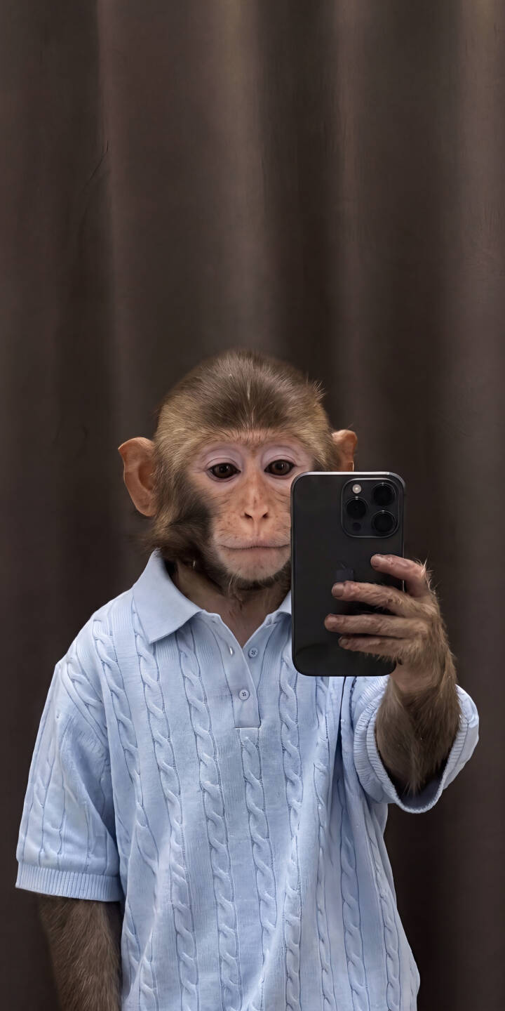 A curious monkey snaps a selfie with an iPhone, sporting a stylish light blue cable-knit shirt in this charming 4K wallpaper â a must-have wallpaper for iPhone users looking for something unique. | animal selfie cute iphone monkey wallpaper mobile 4k wallpaper hd wallpaper blue shirt humorous A curious monkey snaps a selfie with an iPhone, sporting a stylish light blue cable-knit shirt in this charming 4K wallpaper â a must-have wallpaper for iPhone users looking for something unique.