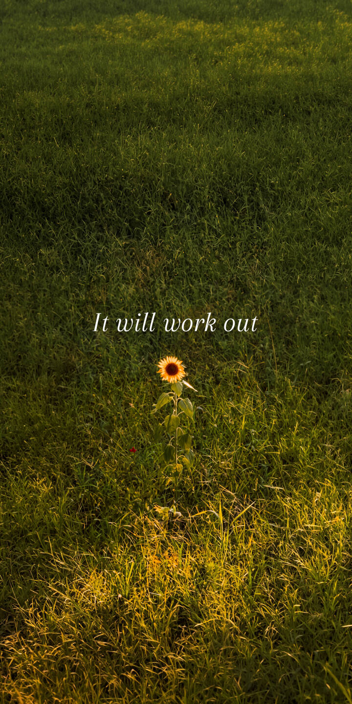 Golden light bathes a lone sunflower, with the comforting message "It will work out" floating above in this inspiring 4K wallpaper. This serene scene is a perfect motivational wallpaper for your iPhone. | flower quote iphone nature sunflower wallpaper mobile green field 4k wallpaper hd wallpaper hopeful inspirational Golden light bathes a lone sunflower, with the comforting message "It will work out" floating above in this inspiring 4K wallpaper. This serene scene is a perfect motivational wallpaper for your iPhone.