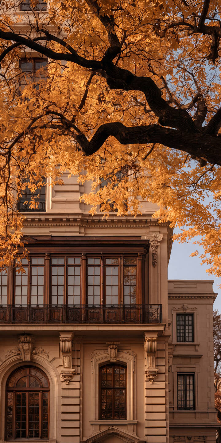 Vibrant golden autumn leaves cascade over an elegantly designed classic building in this stunning 4K wallpaper. This picturesque scene creates a beautiful fall wallpaper for iPhone, perfect for enhancing your mobile device. | building city architecture fall iphone nature autumn wallpaper mobile 4k wallpaper hd wallpaper golden leaves Vibrant golden autumn leaves cascade over an elegantly designed classic building in this stunning 4K wallpaper. This picturesque scene creates a beautiful fall wallpaper for iPhone, perfect for enhancing your mobile device.