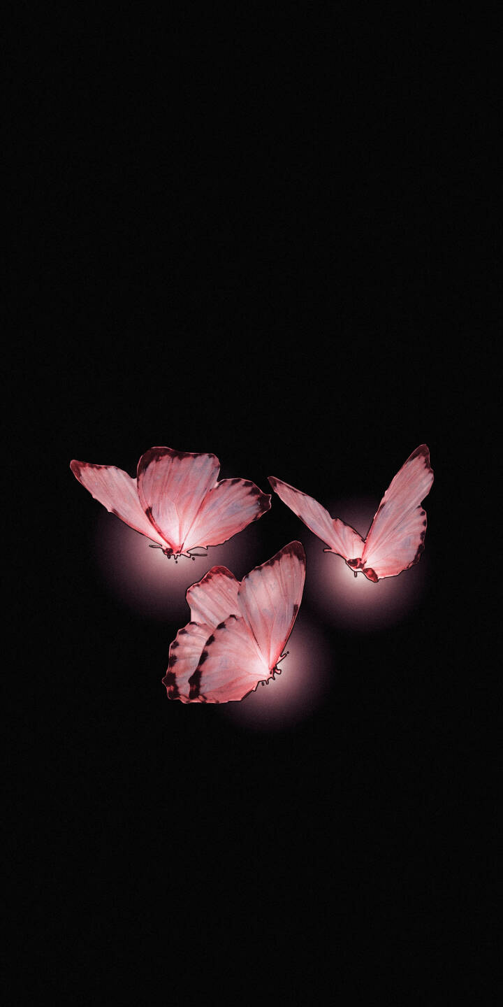 Three ethereal pink butterflies softly glow against a deep black background in this mesmerizing 4K wallpaper, creating an elegant visual — a beautiful wallpaper choice for iPhone. | pink aesthetic dark iphone minimalist wallpaper mobile butterfly glowing butterflies 4k wallpaper hd wallpaper Three ethereal pink butterflies softly glow against a deep black background in this mesmerizing 4K wallpaper, creating an elegant visual — a beautiful wallpaper choice for iPhone.