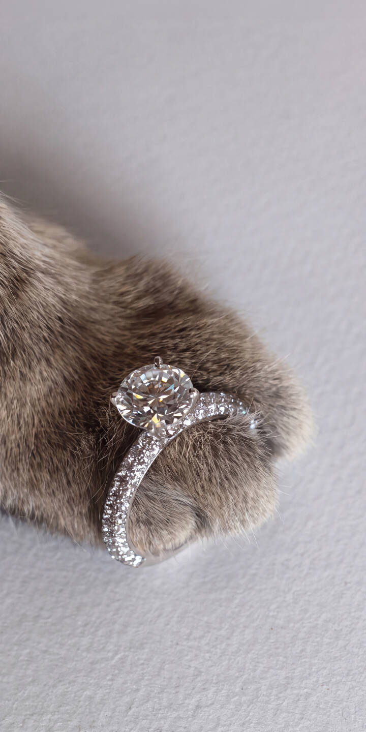 The brilliant round diamond engagement ring sparkles magnificently atop a soft grey cat paw in this adorable 4K wallpaper. This charming wallpaper is perfect for iPhone users who adore pets and elegant jewelry. | cat pet cute iphone wallpaper sparkling mobile 4k wallpaper hd wallpaper cat paw diamond ring engagement ring The brilliant round diamond engagement ring sparkles magnificently atop a soft grey cat paw in this adorable 4K wallpaper. This charming wallpaper is perfect for iPhone users who adore pets and elegant jewelry.