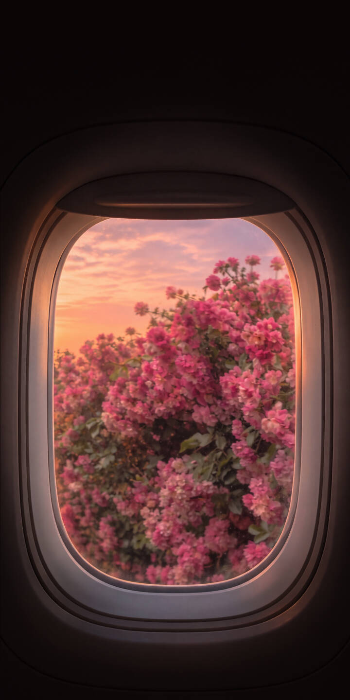 A vibrant burst of pink blossoms fills an airplane window frame, contrasted against a soft, golden hour sky in this stunning 4K wallpaper — an ideal aesthetic wallpaper for iPhone. | aesthetic sunset travel airplane window iphone nature wallpaper mobile golden hour 4k wallpaper hd wallpaper pink flowers A vibrant burst of pink blossoms fills an airplane window frame, contrasted against a soft, golden hour sky in this stunning 4K wallpaper — an ideal aesthetic wallpaper for iPhone.
