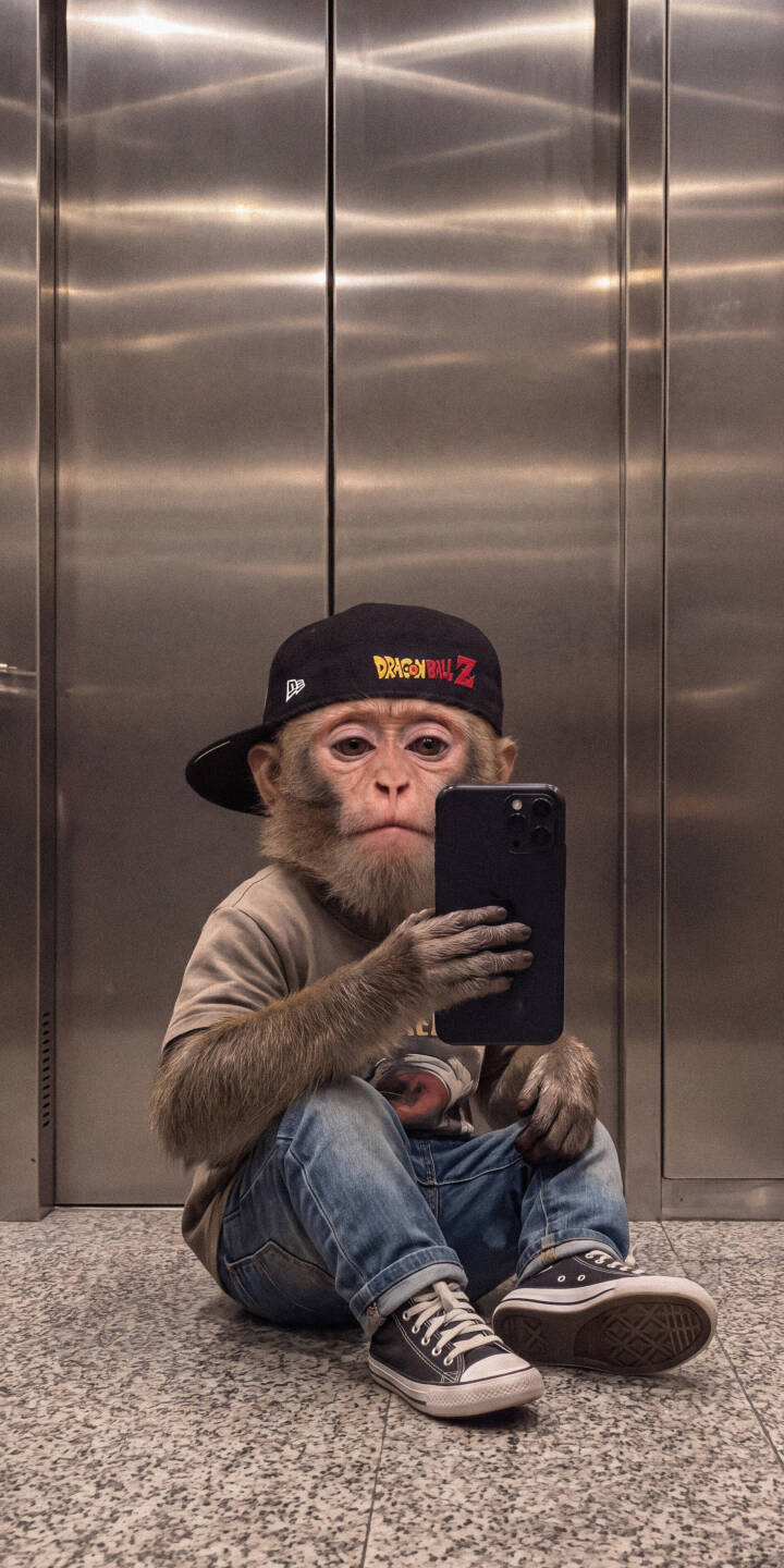 A stylish monkey in a backward Dragon Ball Z cap captures a candid selfie on its iPhone within an elevator, wearing cool jeans and classic sneakers in this charming 4K wallpaper. This unique animal wallpaper makes a playful and urban statement for your iPhone screen. | funny animal urban selfie iphone monkey wallpaper dragon ball z cool mobile 4k wallpaper hd wallpaper A stylish monkey in a backward Dragon Ball Z cap captures a candid selfie on its iPhone within an elevator, wearing cool jeans and classic sneakers in this charming 4K wallpaper. This unique animal wallpaper makes a playful and urban statement for your iPhone screen.