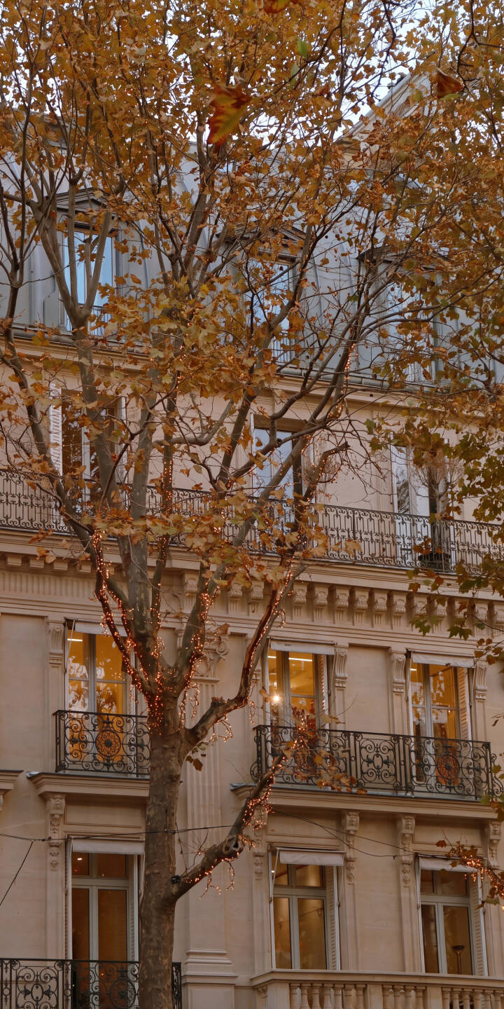 Warm golden light spills from ornate building windows, perfectly complementing the festive string lights adorning an autumn tree in this elegant 4K wallpaper for iPhone. This cozy cityscape wallpaper captures the serene charm of an urban evening, ideal for your mobile device. | tree city iphone paris autumn cozy wallpaper mobile 4k wallpaper hd wallpaper festive urban aesthetic Warm golden light spills from ornate building windows, perfectly complementing the festive string lights adorning an autumn tree in this elegant 4K wallpaper for iPhone. This cozy cityscape wallpaper captures the serene charm of an urban evening, ideal for your mobile device.