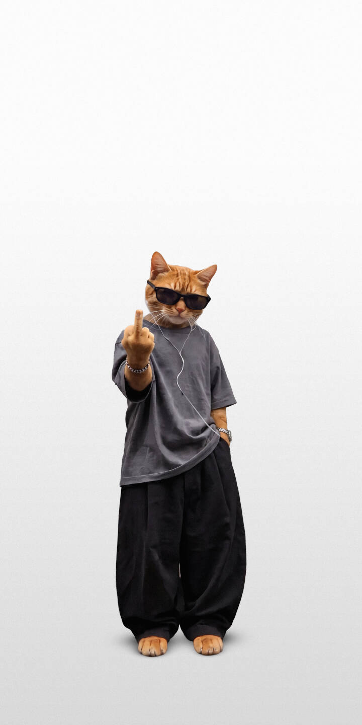 An orange cat, sporting cool sunglasses and headphones, defiantly gives the middle finger in this bold 4K wallpaper â an expressive choice for any iPhone wallpaper collection. | sunglasses cat iphone wallpaper mobile sassy 4k wallpaper hd wallpaper orange cat funny cat middle finger cool cat An orange cat, sporting cool sunglasses and headphones, defiantly gives the middle finger in this bold 4K wallpaper â an expressive choice for any iPhone wallpaper collection.