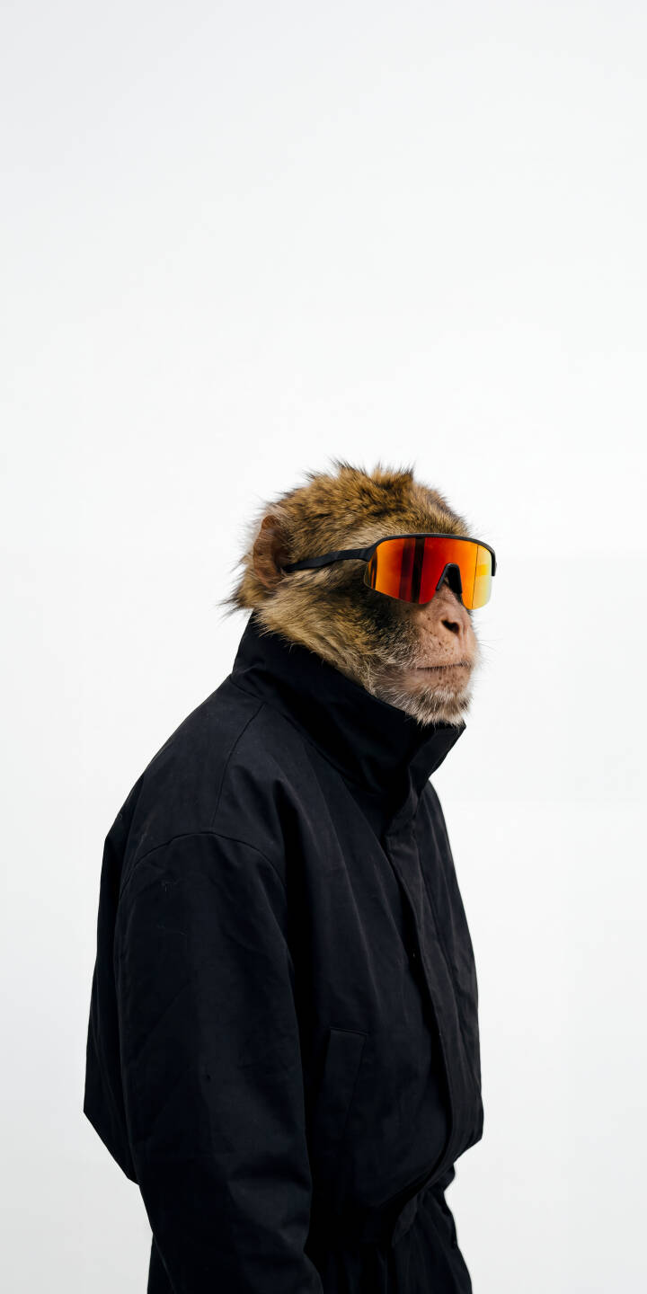 Striking red mirrored sunglasses adorn a stoic monkey in a sleek black jacket, captured against a clean white background in this minimalist 4K wallpaper. This unique and stylish wallpaper is an ideal choice for iPhone users looking for something distinctive. | sunglasses iphone minimalist monkey wallpaper ape cool mobile 4k wallpaper hd wallpaper black jacket animal art Striking red mirrored sunglasses adorn a stoic monkey in a sleek black jacket, captured against a clean white background in this minimalist 4K wallpaper. This unique and stylish wallpaper is an ideal choice for iPhone users looking for something distinctive.