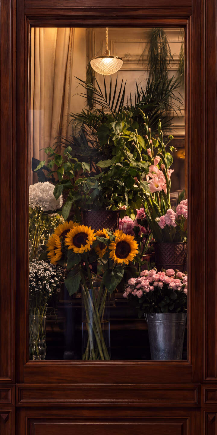 Warm light filters through a beautiful window display, highlighting bright sunflowers, delicate pink roses, and lush green plants in this stunning 4K floral wallpaper -- a perfect vibrant wallpaper for iPhone. | aesthetic flowers iphone wallpaper vibrant mobile sunflowers 4k wallpaper hd wallpaper pink roses botanical floral shop Warm light filters through a beautiful window display, highlighting bright sunflowers, delicate pink roses, and lush green plants in this stunning 4K floral wallpaper -- a perfect vibrant wallpaper for iPhone.
