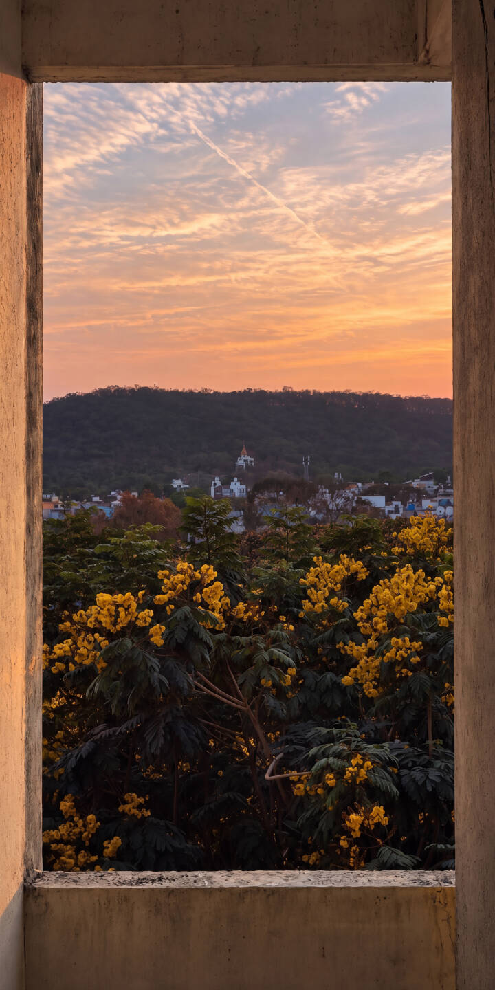 Vibrant yellow flowers burst forth, illuminated by the warm glow of a golden hour sunset, offering a picturesque 4K wallpaper view framed by concrete. This tranquil landscape wallpaper is an ideal choice for your iPhone. | aesthetic flowers landscape sunset iphone nature wallpaper mobile golden hour 4k wallpaper hd wallpaper window view Vibrant yellow flowers burst forth, illuminated by the warm glow of a golden hour sunset, offering a picturesque 4K wallpaper view framed by concrete. This tranquil landscape wallpaper is an ideal choice for your iPhone.