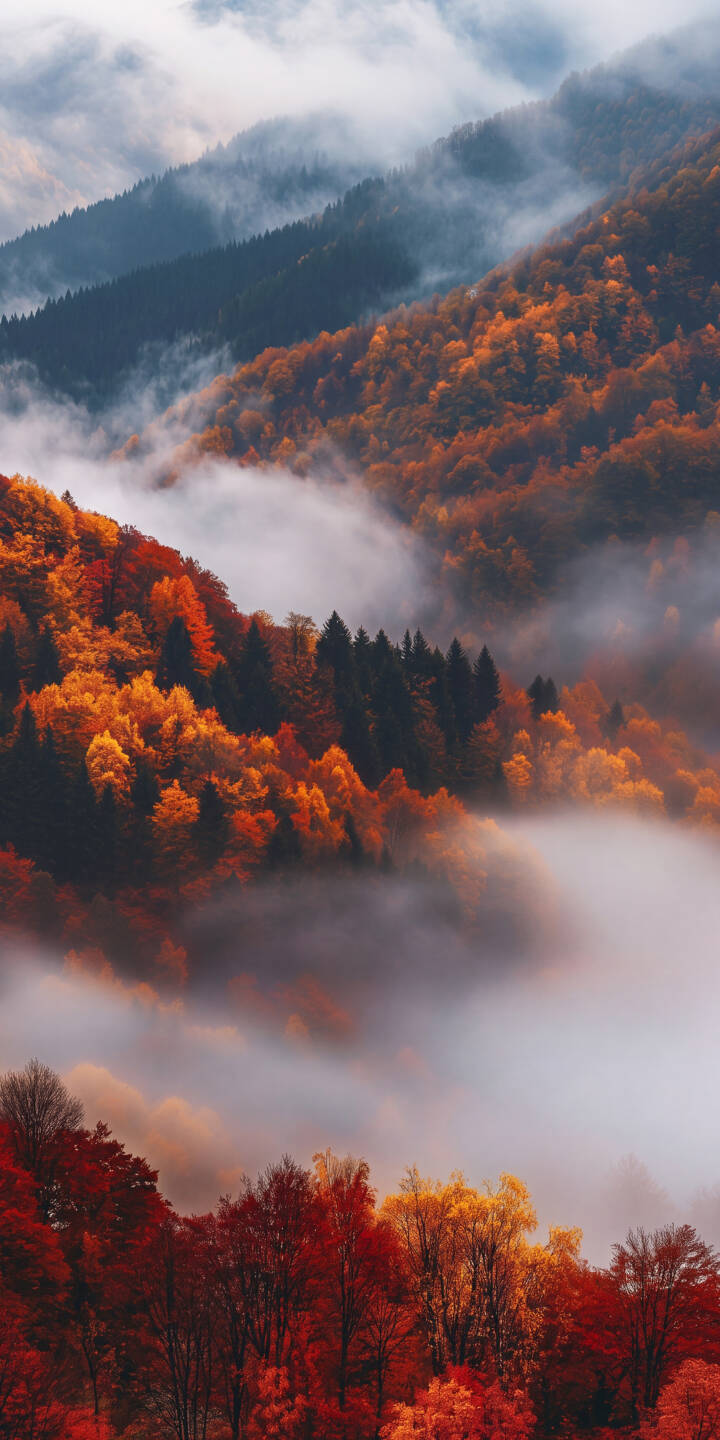 Dense layers of vibrant orange and red foliage peek through winding white mist, creating a breathtaking vista in this stunning 4K autumn mountain wallpaper. This serene nature wallpaper is perfect for your iPhone, showcasing the tranquil beauty of a misty forest. | landscape forest mountain iphone autumn wallpaper vibrant mist mobile 4k wallpaper hd wallpaper serene Dense layers of vibrant orange and red foliage peek through winding white mist, creating a breathtaking vista in this stunning 4K autumn mountain wallpaper. This serene nature wallpaper is perfect for your iPhone, showcasing the tranquil beauty of a misty forest.