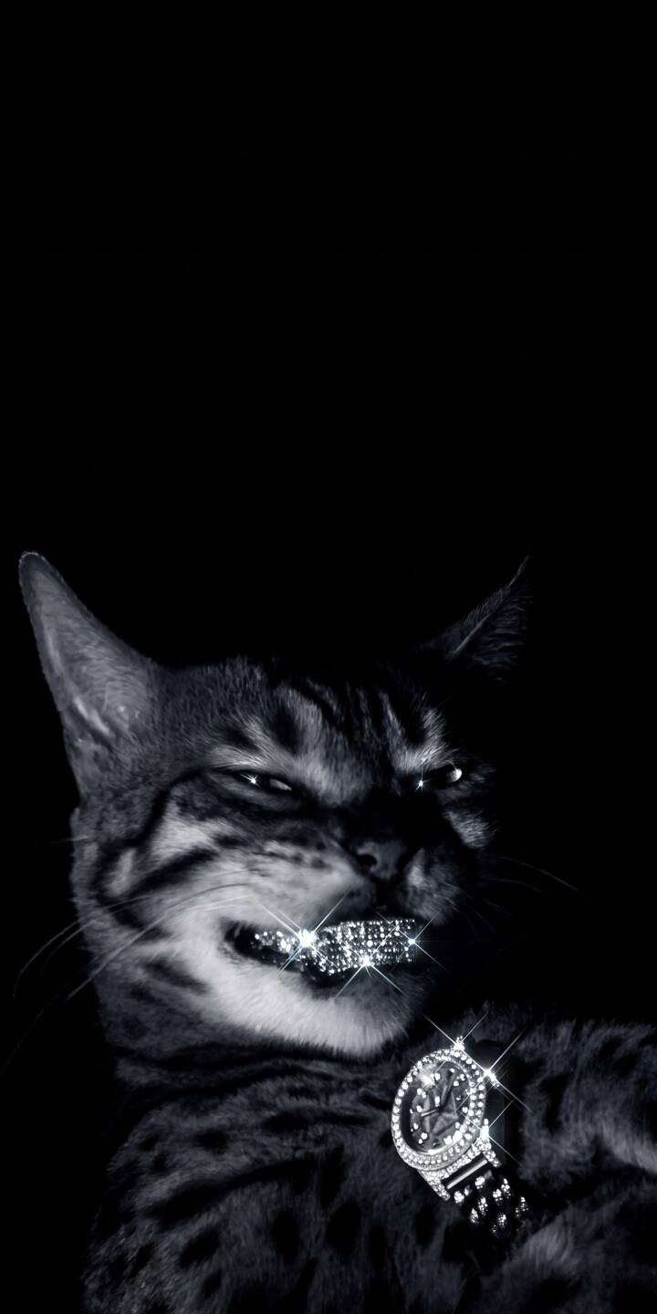 The cat's dazzling diamond grillz sparkle intensely, complementing the sleek black and white aesthetic of this 4K wallpaper. This iconic bling cat wallpaper is perfect for personalizing your iPhone with a touch of unique style. | aesthetic cat iphone wallpaper diamonds grillz mobile 4k wallpaper hd wallpaper monochrome bling The cat's dazzling diamond grillz sparkle intensely, complementing the sleek black and white aesthetic of this 4K wallpaper. This iconic bling cat wallpaper is perfect for personalizing your iPhone with a touch of unique style.