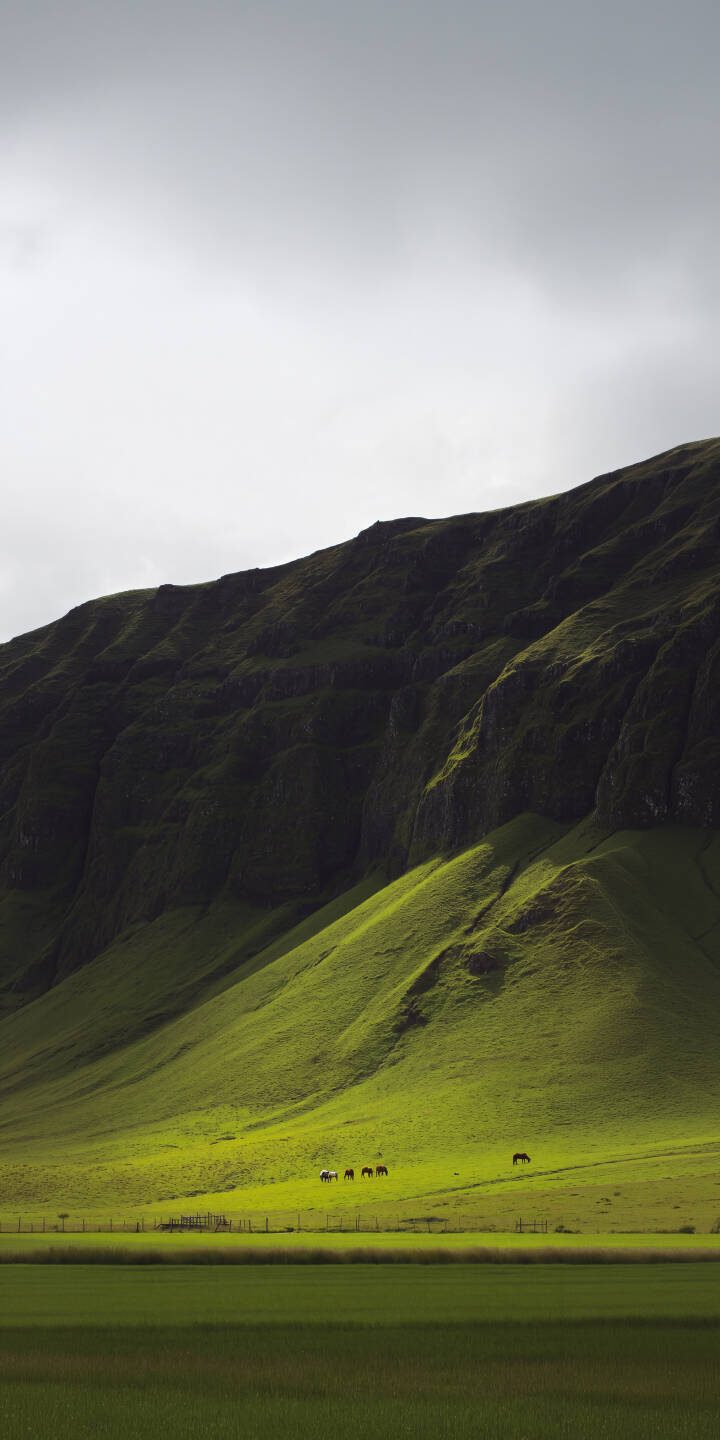 Vibrant sun-kissed green slopes descend from a majestic dark mountain under a softly clouded sky in this stunning 4K landscape wallpaper. This serene nature wallpaper, featuring small animals grazing peacefully, is perfect for your iPhone. | landscape green iphone nature animals hills mountains wallpaper mobile 4k wallpaper hd wallpaper serene Vibrant sun-kissed green slopes descend from a majestic dark mountain under a softly clouded sky in this stunning 4K landscape wallpaper. This serene nature wallpaper, featuring small animals grazing peacefully, is perfect for your iPhone.