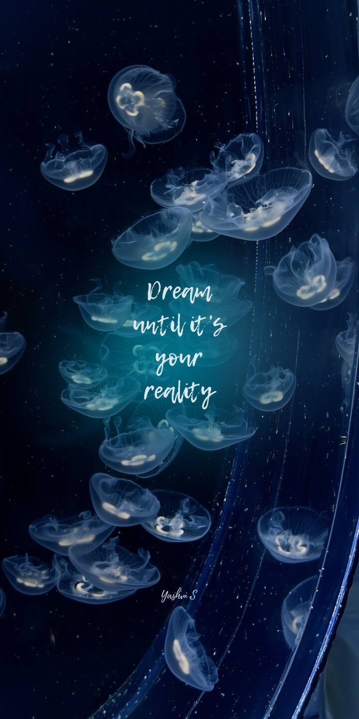 Ethereal luminous jellyfish drift gracefully in a deep blue ocean, illuminated by the inspiring text 'Dream until it's your reality' in this captivating 4K wallpaper. This stunning aquatic wallpaper is perfect for personalizing your iPhone. | aesthetic blue iphone ocean wallpaper mobile glowing 4k wallpaper hd wallpaper jellyfish sea life inspirational Ethereal luminous jellyfish drift gracefully in a deep blue ocean, illuminated by the inspiring text 'Dream until it's your reality' in this captivating 4K wallpaper. This stunning aquatic wallpaper is perfect for personalizing your iPhone.