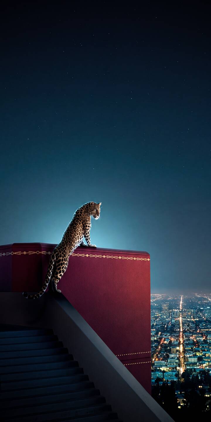 Poised elegantly on a deep red patterned ledge, a majestic leopard gazes over a sparkling cityscape under a clear, star-dusted night sky in this stunning 4K wallpaper. This captivating wallpaper is perfect for personalizing your iPhone. | aesthetic night iphone stars leopard wallpaper mobile 4k wallpaper hd wallpaper wildlife big cat cityscape Poised elegantly on a deep red patterned ledge, a majestic leopard gazes over a sparkling cityscape under a clear, star-dusted night sky in this stunning 4K wallpaper. This captivating wallpaper is perfect for personalizing your iPhone.